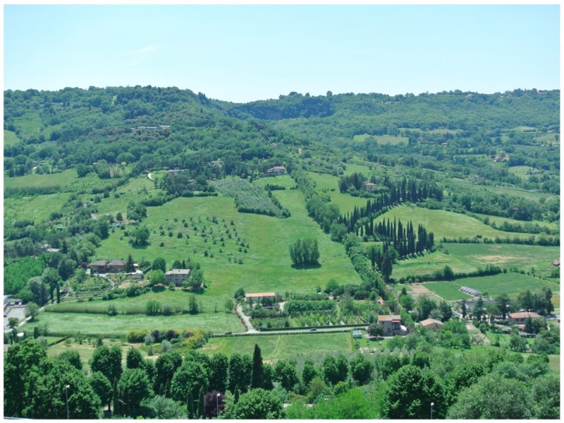 orvietovista